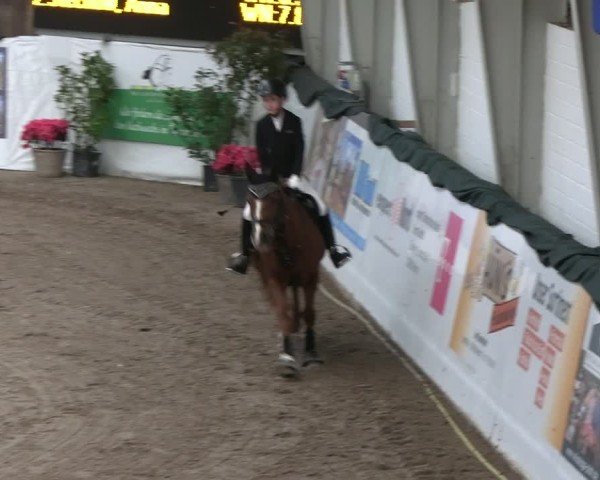Reitturnier Timmendorf 2025