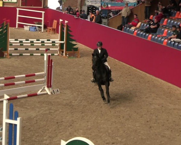 Reitturnier Krumke 2025