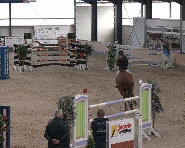 Reitturnier Borken (Hessen) 2025