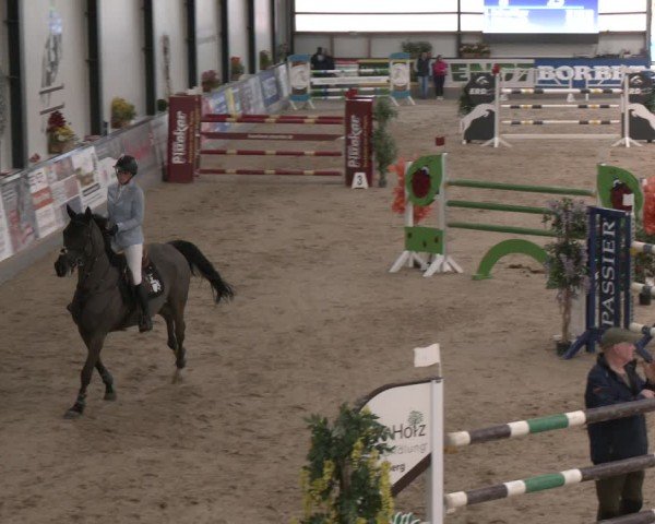 Reitturnier Borken (Hessen) 2025
