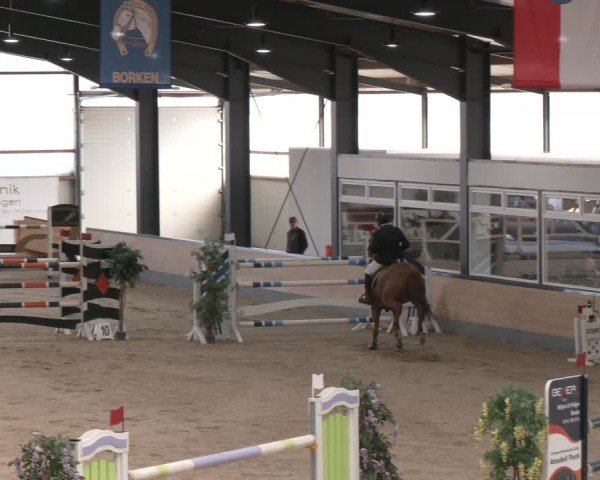 Reitturnier Borken (Hessen) 2025