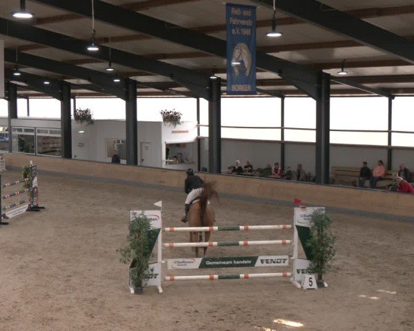 Reitturnier Borken (Hessen) 2025