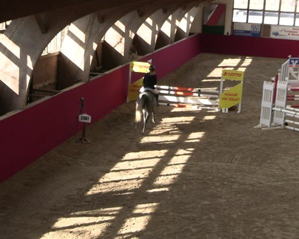 Reitturnier Krumke 2025