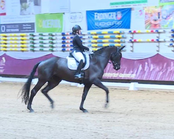 Reitturnier Eicherloh 2025