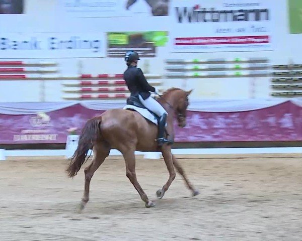 Reitturnier Eicherloh 2025