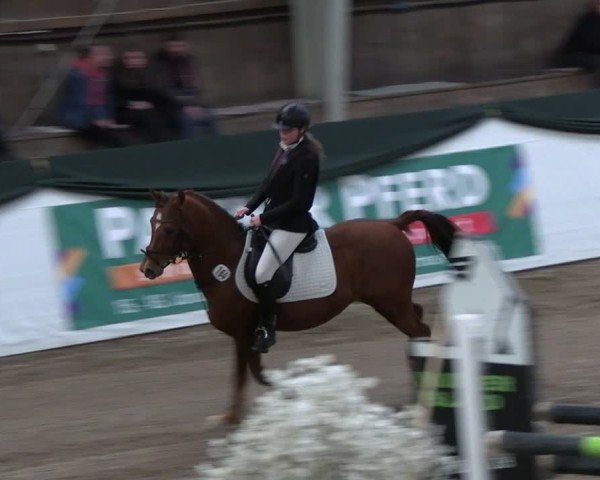 Reitturnier Timmendorf 2025