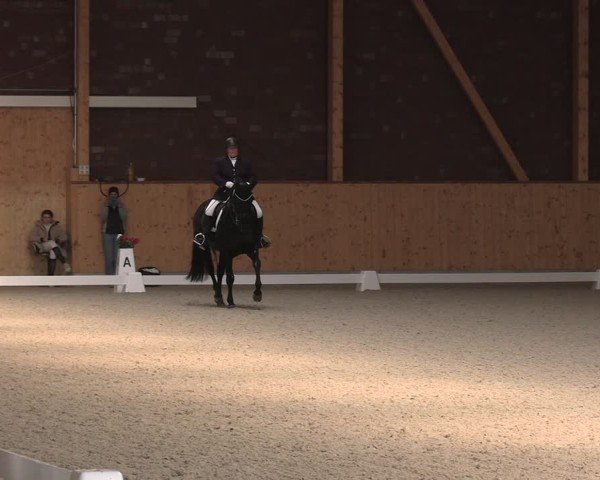 Reitturnier Hohen Wieschendorf 2025