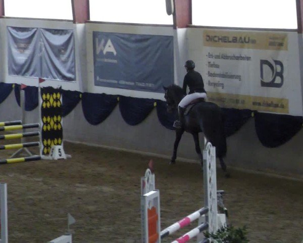 Reitturnier Diez 2025