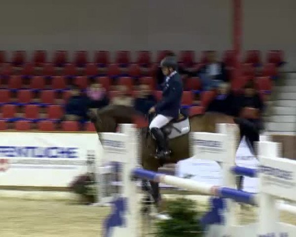 11. Hallen-Championat Vechta 2013