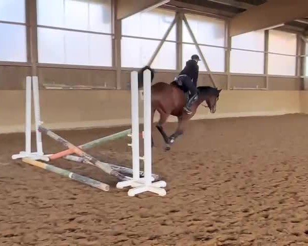 Video of Sita