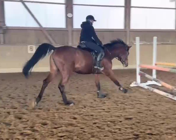 Video of Sita