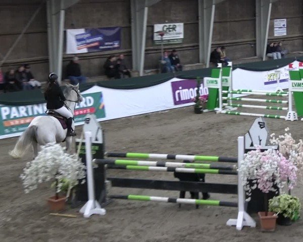 Reitturnier Timmendorf 2025