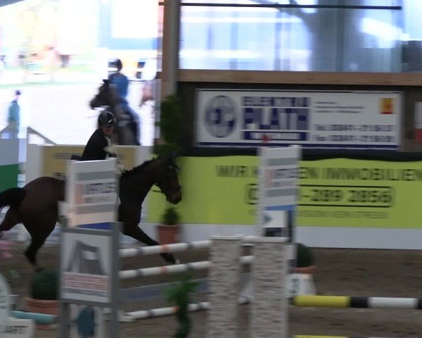 Reitturnier Timmendorf 2025