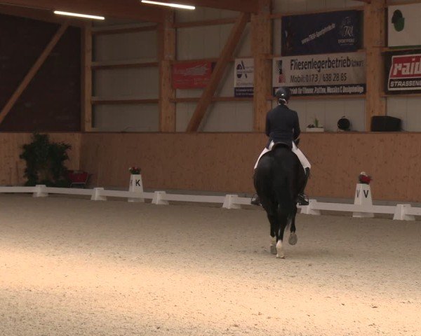 Reitturnier Hohen Wieschendorf 2025