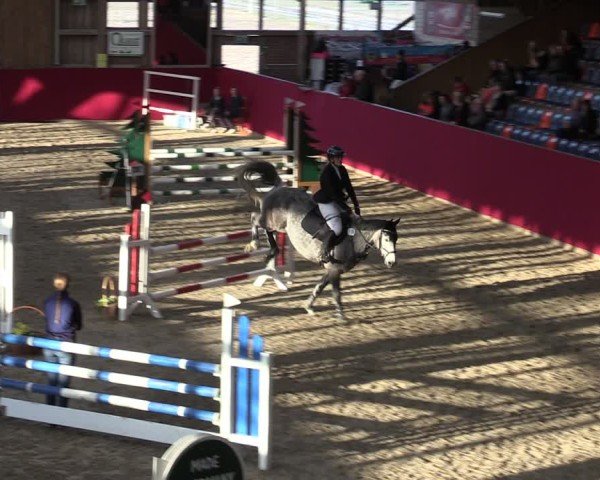 Reitturnier Krumke 2025