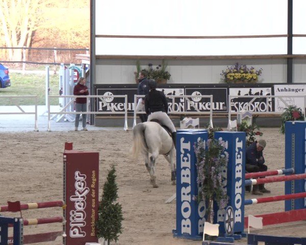 Reitturnier Borken (Hessen) 2025