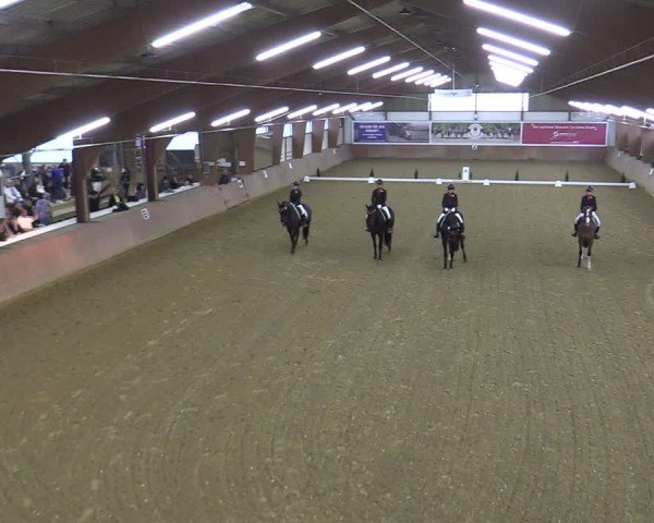 Reitturnier Bad Salzuflen 2025