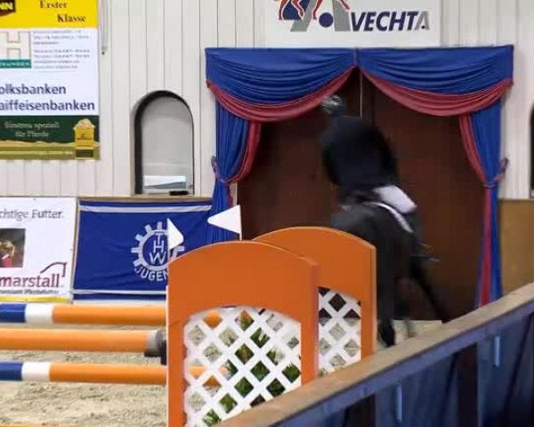 Reitturnier Vechta 2013