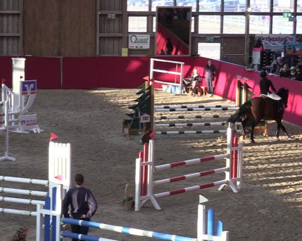 Reitturnier Krumke 2025