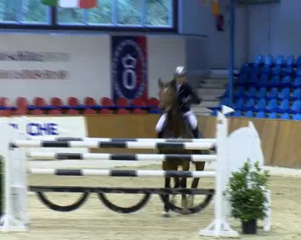 11. Hallen-Championat Vechta 2013