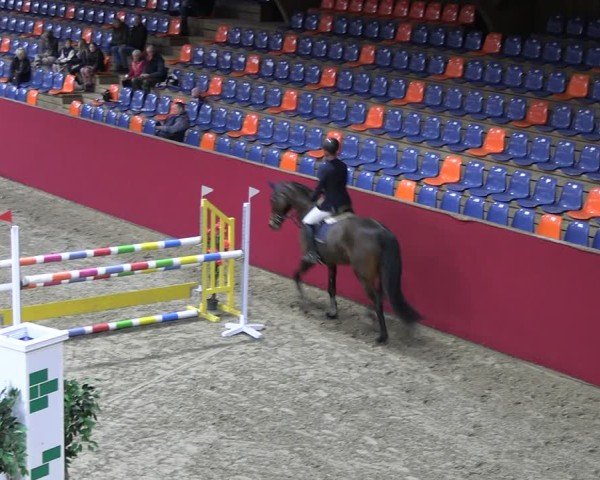 Reitturnier Krumke 2025