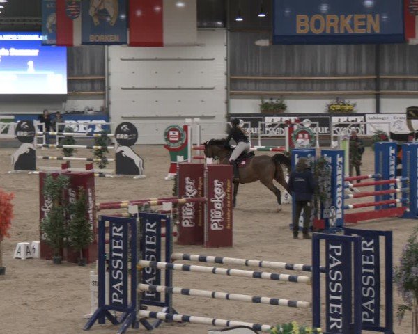 Reitturnier Borken (Hessen) 2025
