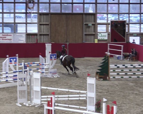 Reitturnier Krumke 2025