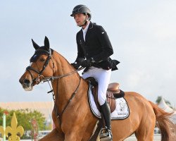 broodmare Bali des Cedres Verts (Selle Français, 2011, from Diamant de Semilly)
