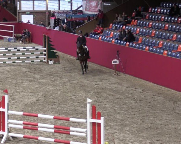 Reitturnier Krumke 2025