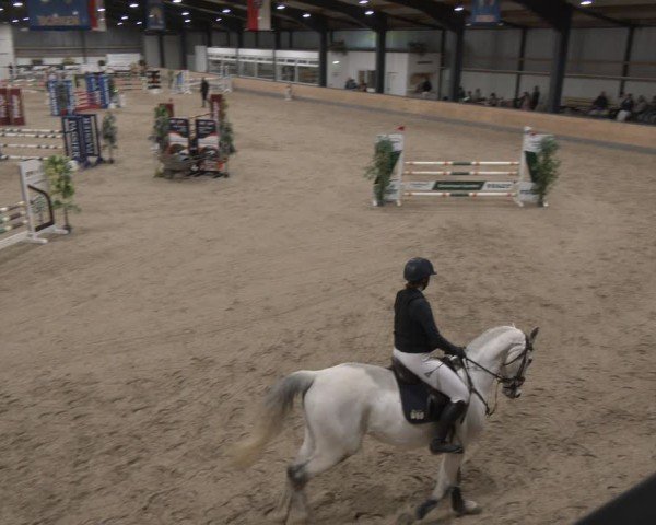 Reitturnier Borken (Hessen) 2025