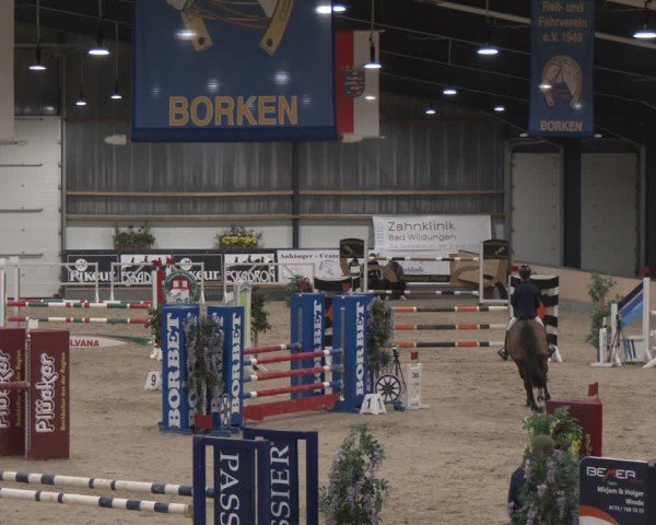 Reitturnier Borken (Hessen) 2025