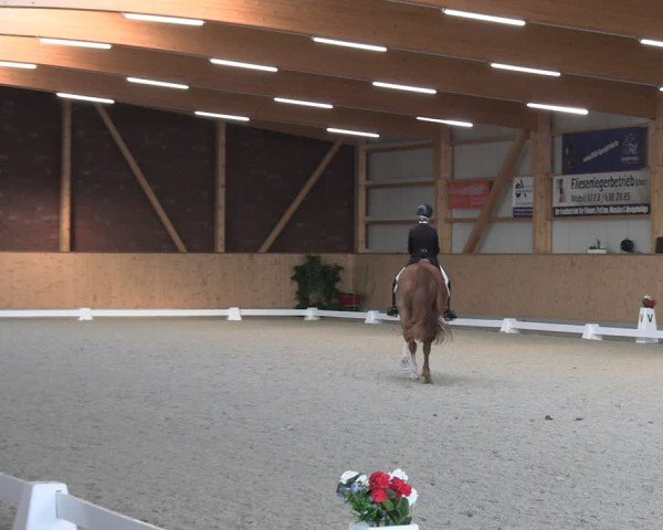 Reitturnier Hohen Wieschendorf 2025