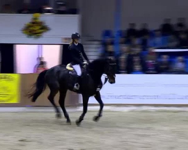 11. Hallen-Championat Vechta 2013