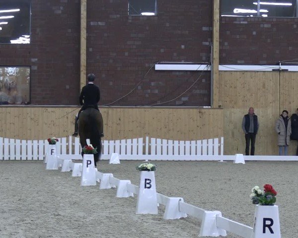 Reitturnier Hohen Wieschendorf 2025