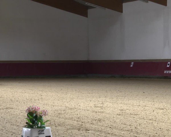 Reitturnier Eicherloh 2025