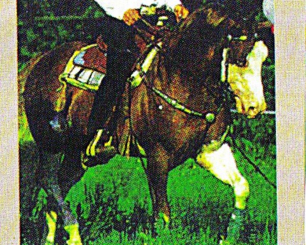 horse Spotlight One (Paint Horse, 1986, from Astro One)