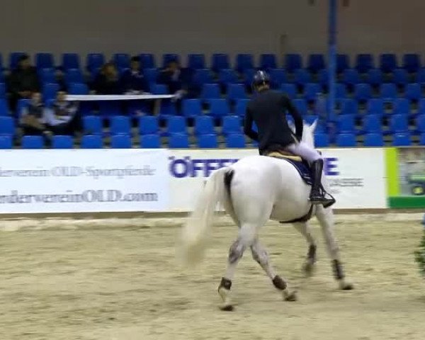 11. Hallen-Championat Vechta 2013