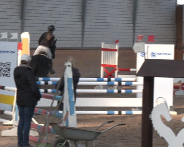 Reitturnier Vorsfelde 2025