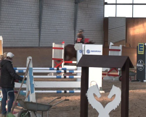 Reitturnier Vorsfelde 2025