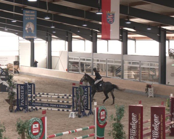 Reitturnier Borken (Hessen) 2025