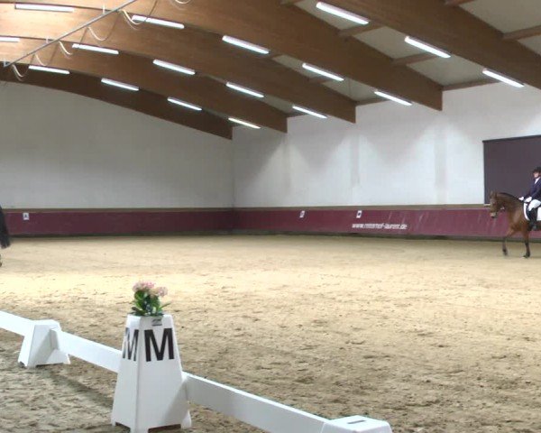 Reitturnier Eicherloh 2025