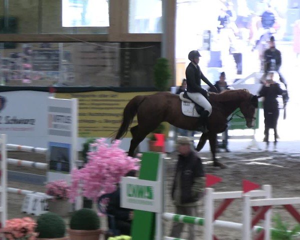 Reitturnier Timmendorf 2025