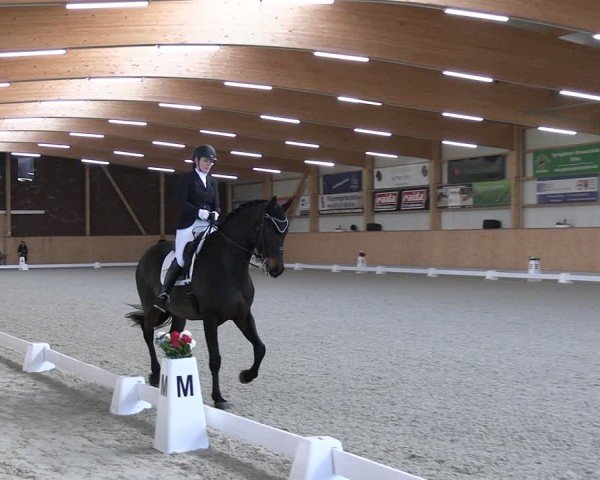 Reitturnier Hohen Wieschendorf 2025