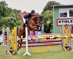 jumper Quitte 29 (Holsteiner, 2016, from Quick Fire)
