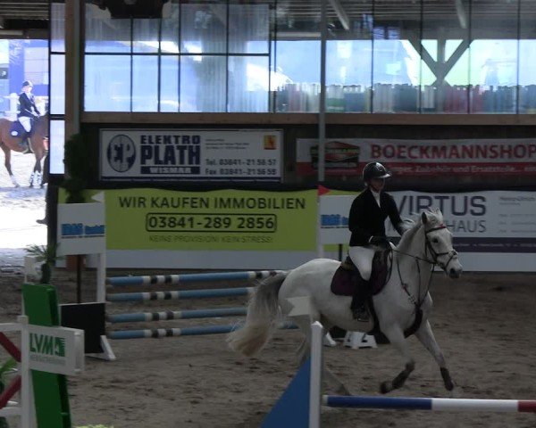 Reitturnier Timmendorf 2025