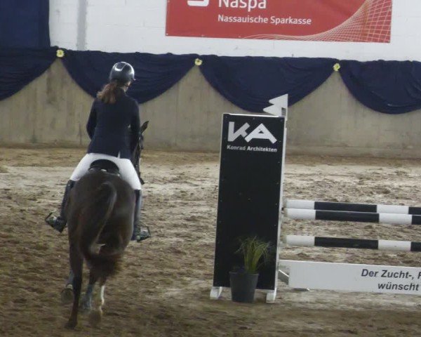 Reitturnier Diez 2025