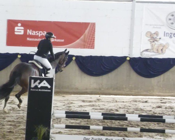 Reitturnier Diez 2025