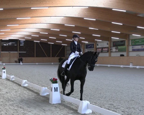 Reitturnier Hohen Wieschendorf 2025