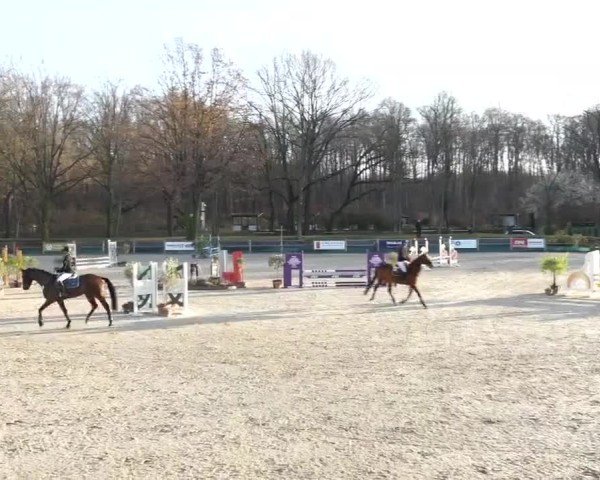 Video of Baronesse 189