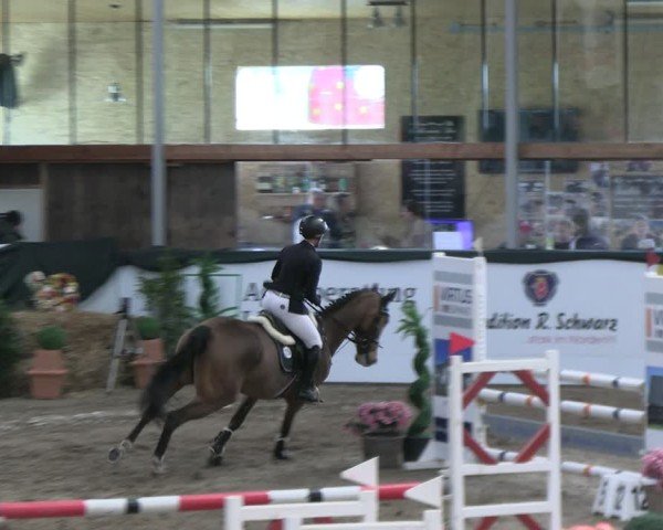 Reitturnier Timmendorf 2025